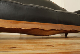 Susann Zielinski — Lilie von Grün